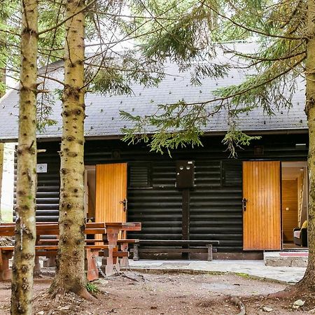 Chalet Liza & Rozi Zgornja Loznica エクステリア 写真