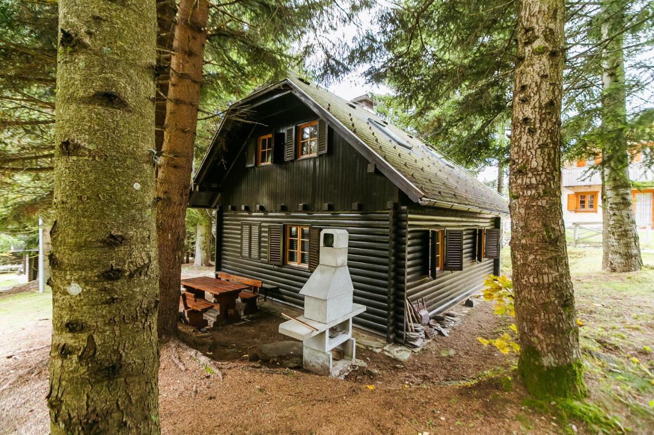 Chalet Liza & Rozi Zgornja Loznica エクステリア 写真