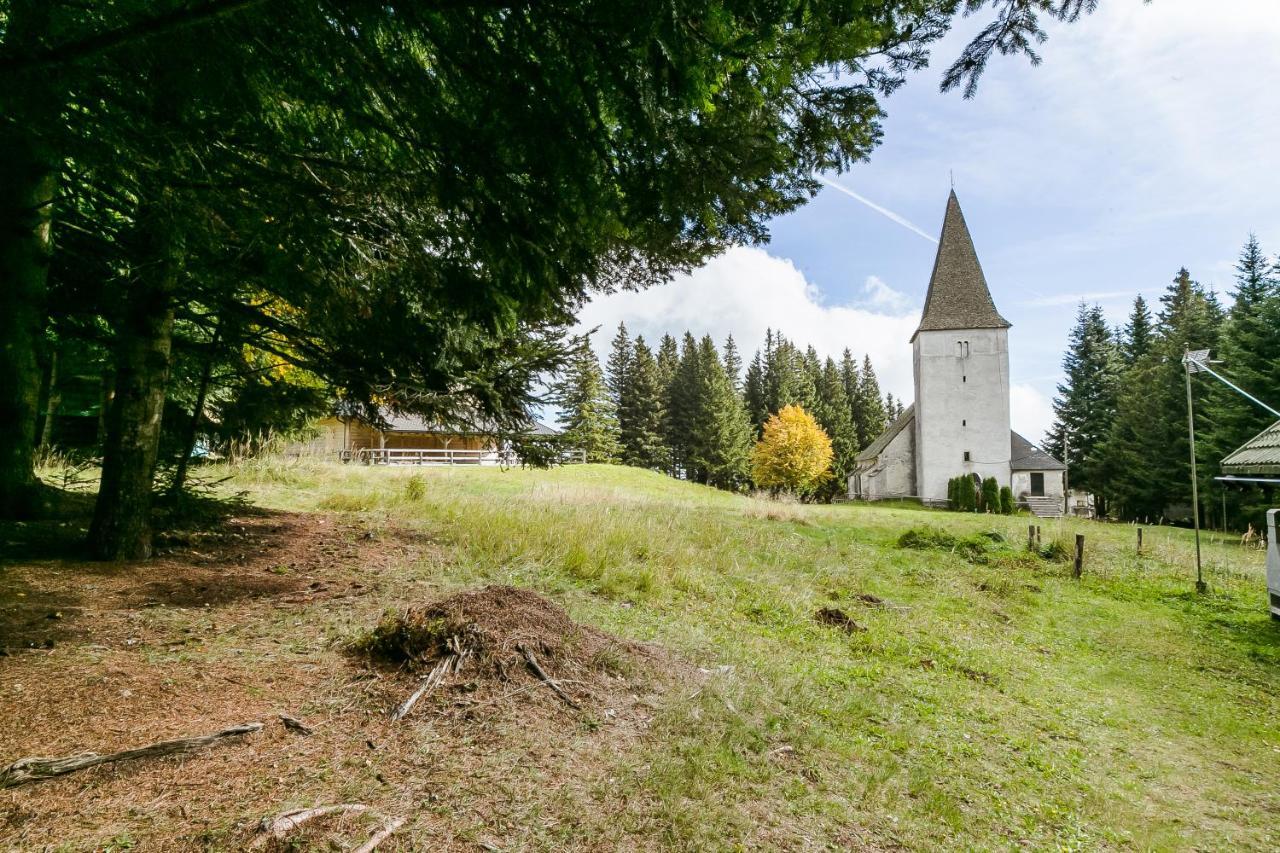 Chalet Liza & Rozi Zgornja Loznica エクステリア 写真